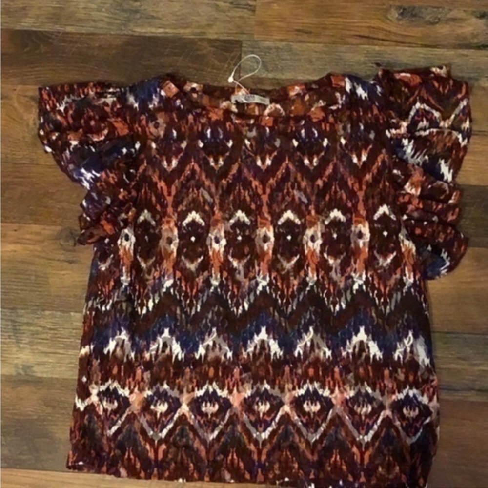 Zara Bohemian Short Sleeve Sheer Top